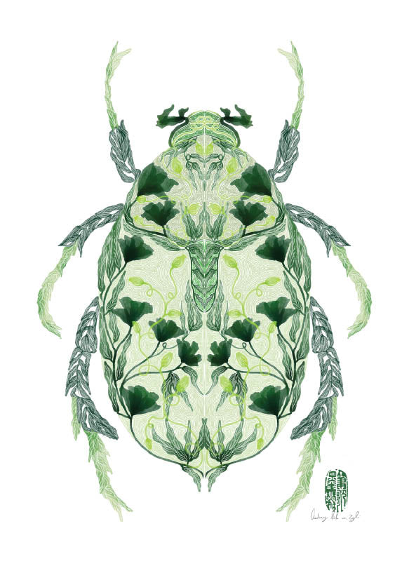 A Beetle's Symmetry - StohneIllustration