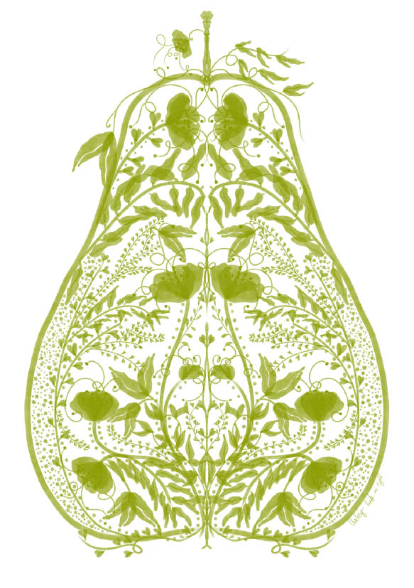 A Pear's Symmetry - StohneIllustration