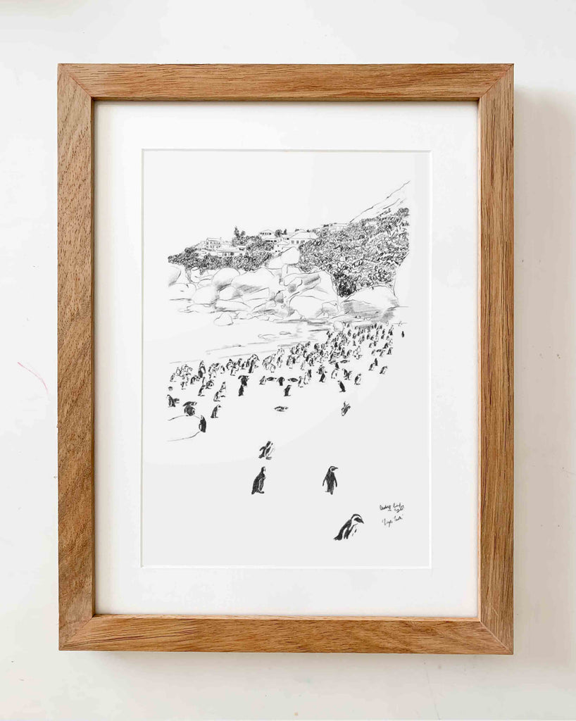 Boulders Beach, Cape Town, South Africa - StohneIllustration