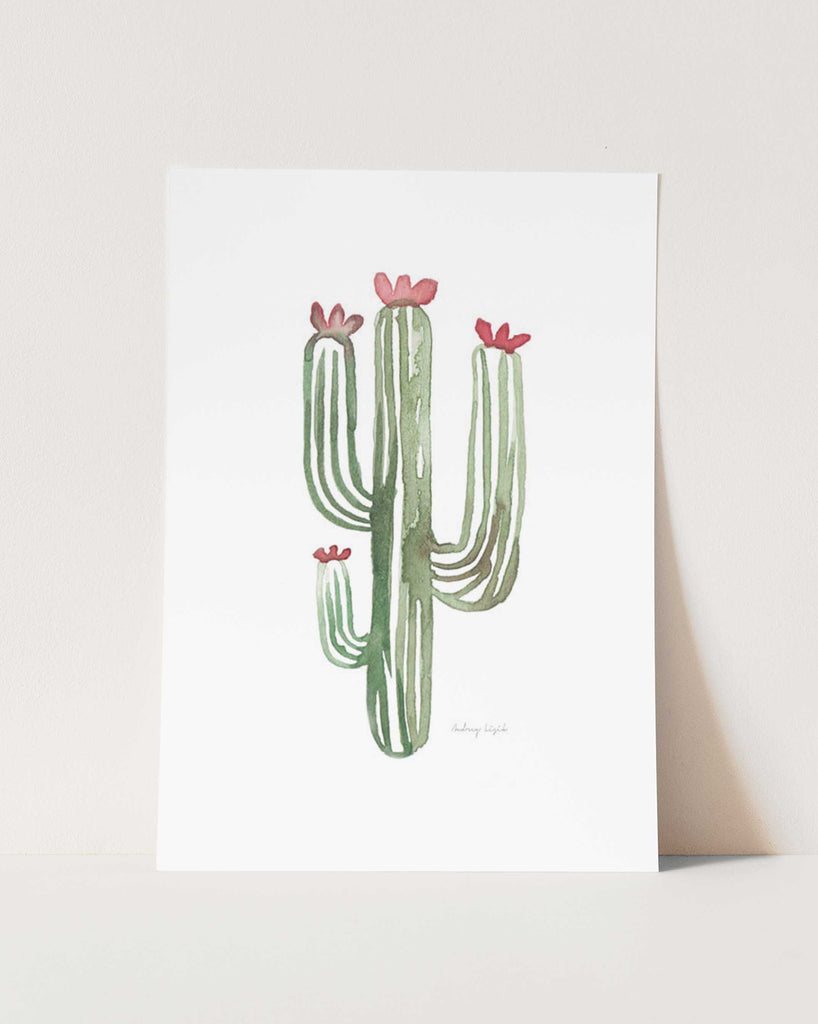 Cactus - StohneIllustration
