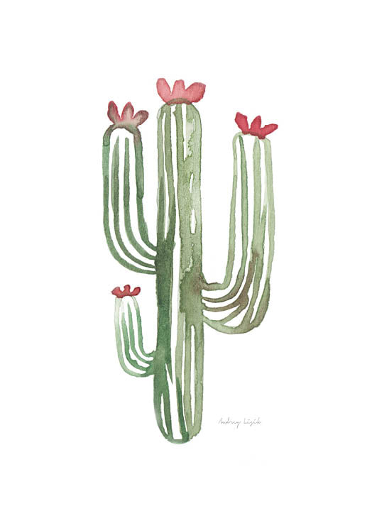 Cactus - StohneIllustration