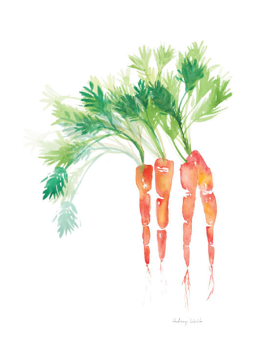 Carrot - StohneIllustration