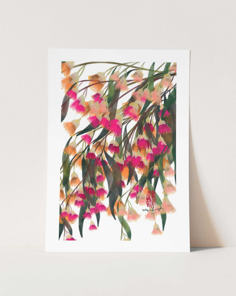 Eucalyptus Flowers - StohneIllustration