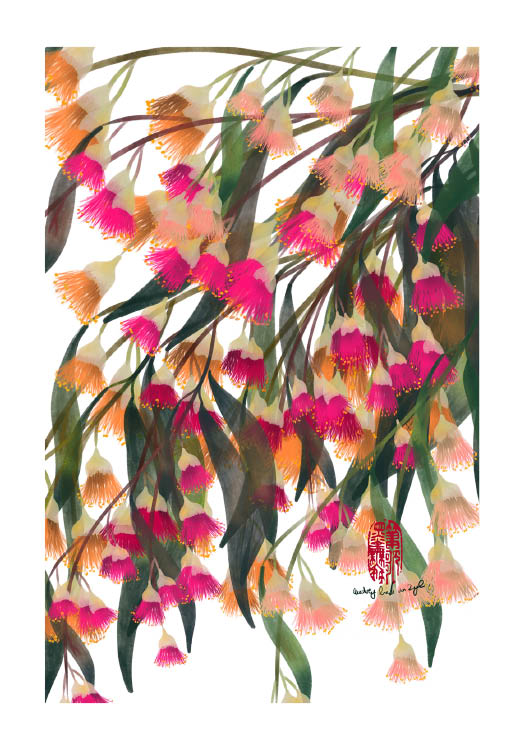 Eucalyptus Flowers - StohneIllustration