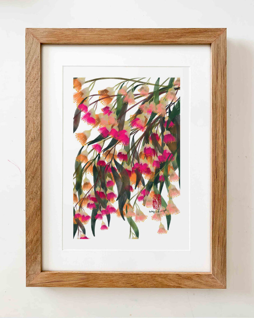 Eucalyptus Flowers - StohneIllustration