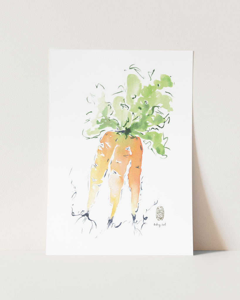 Kitchen Series | Carrot - StohneIllustration