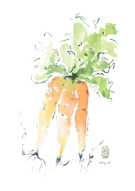 Kitchen Series | Carrot - StohneIllustration