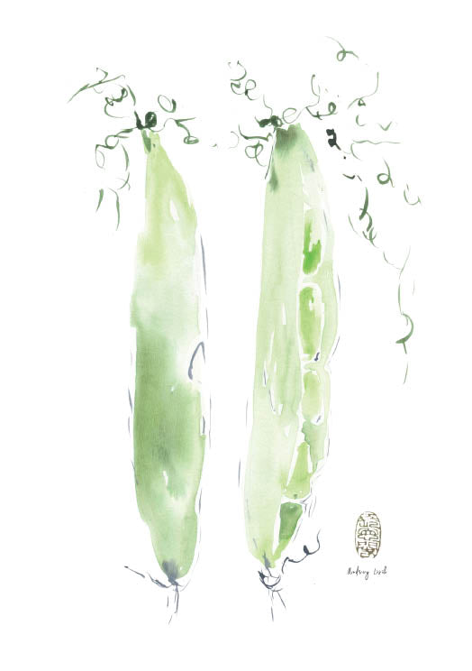 Kitchen Series | Peas - StohneIllustration