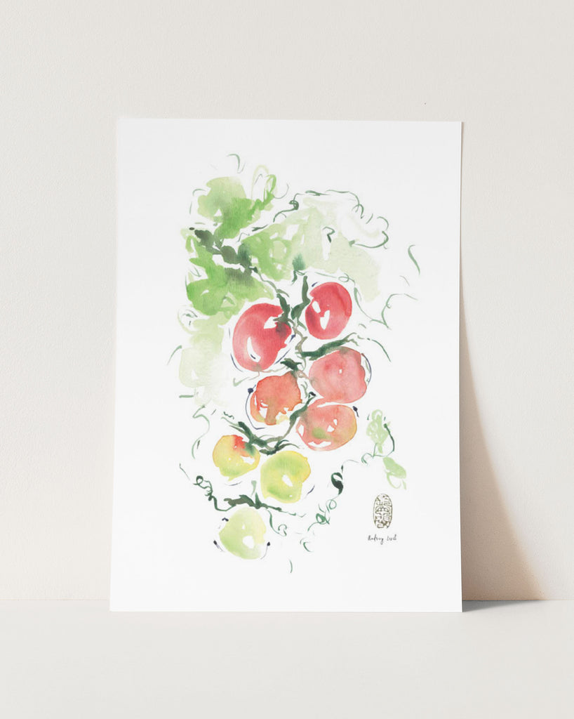 Kitchen Series | Tomatoes - StohneIllustration