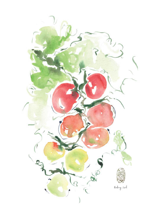 Kitchen Series | Tomatoes - StohneIllustration