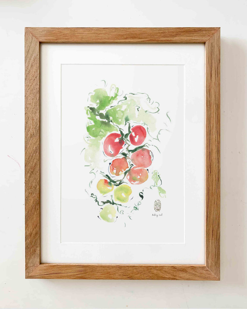 Kitchen Series | Tomatoes - StohneIllustration