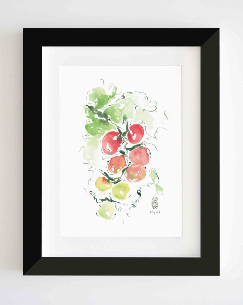 Kitchen Series | Tomatoes - StohneIllustration