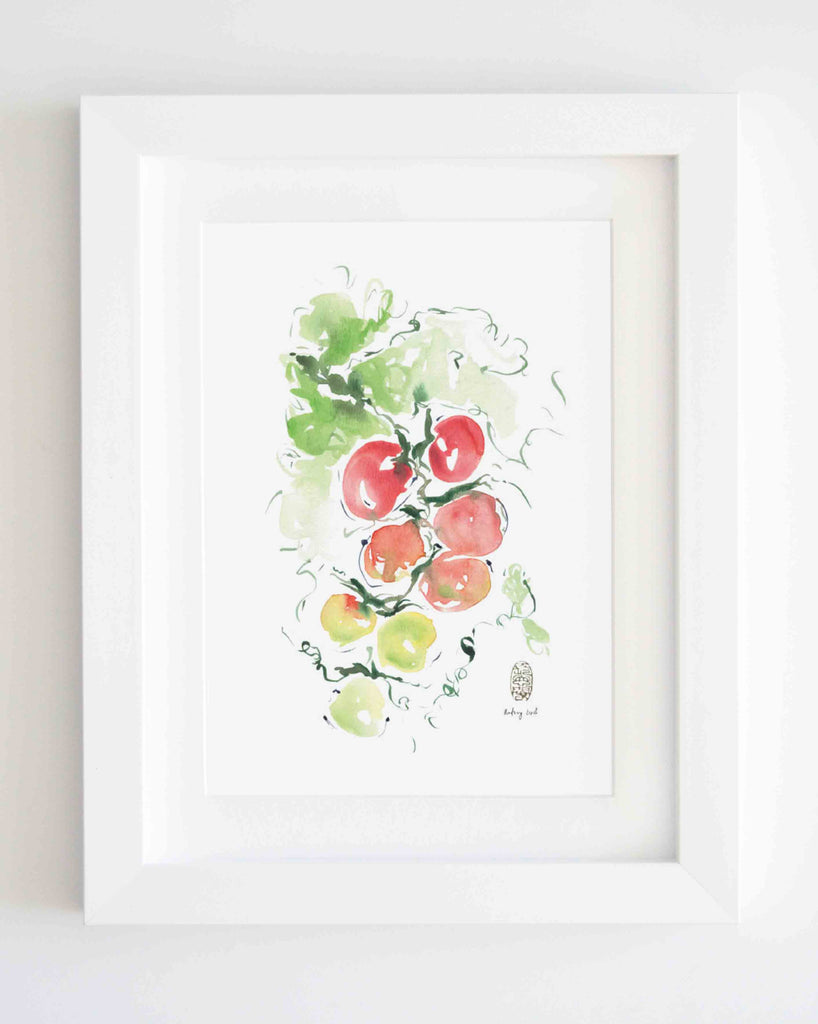 Kitchen Series | Tomatoes - StohneIllustration