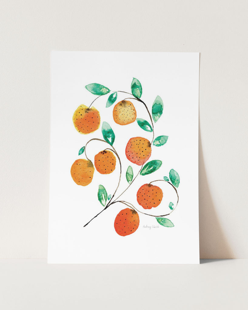 Oranges No.1 - StohneIllustration