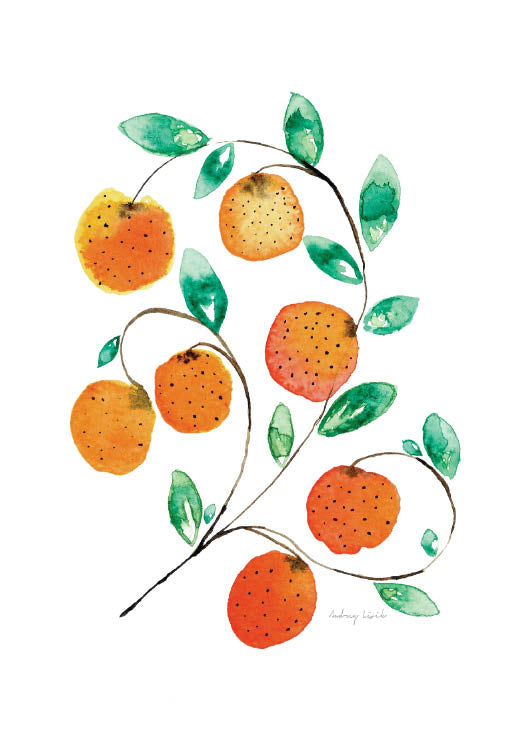 Oranges No.1 - StohneIllustration