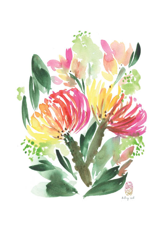 Protea Flower No.1 - StohneIllustration